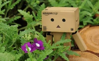 robot, plant, flora, flowers, walk wallpaper