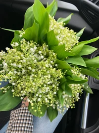 Bouquet de fleurs luxuriant avec des fleurs vertes et blanches délicates