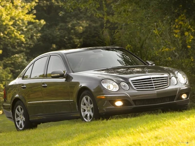 Sedán Mercedes-Benz E-Class en un paisaje verde exuberante