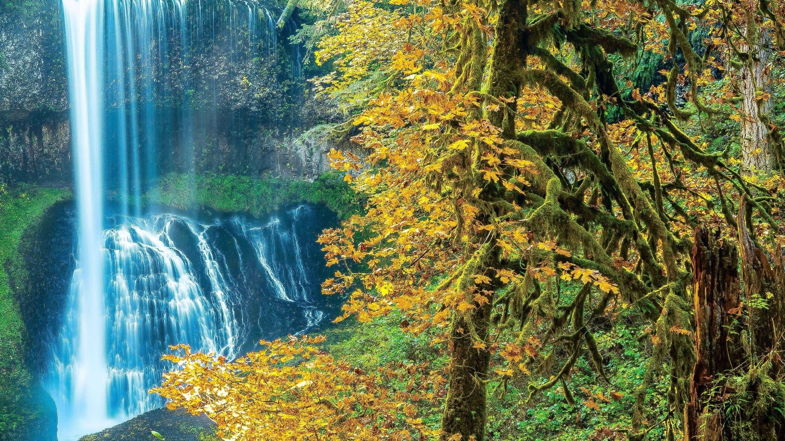 Ein wasserfall mitten im wald mit bäumen und blättern (wasserfall, natur, wasser, vegetation, naturschutzgebiet)