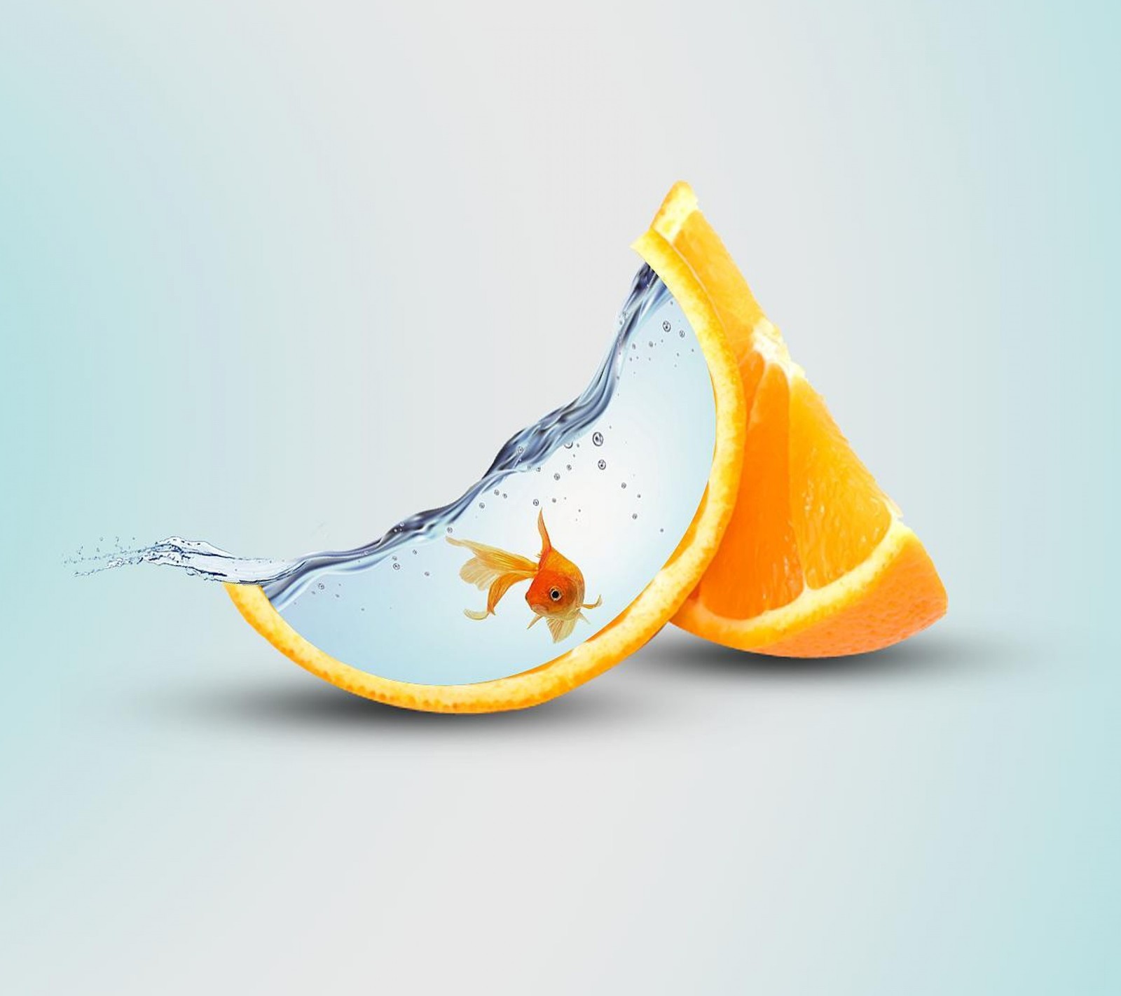 Ein fisch schwimmt in einer schüssel mit orangenscheiben (fisch, frucht, orange, scheibe, wasser)