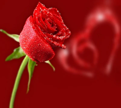 Red Rose with Heart Motif: A Symbol of Love