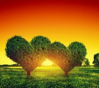 Heart-Shaped Trees Embracing the Sunset