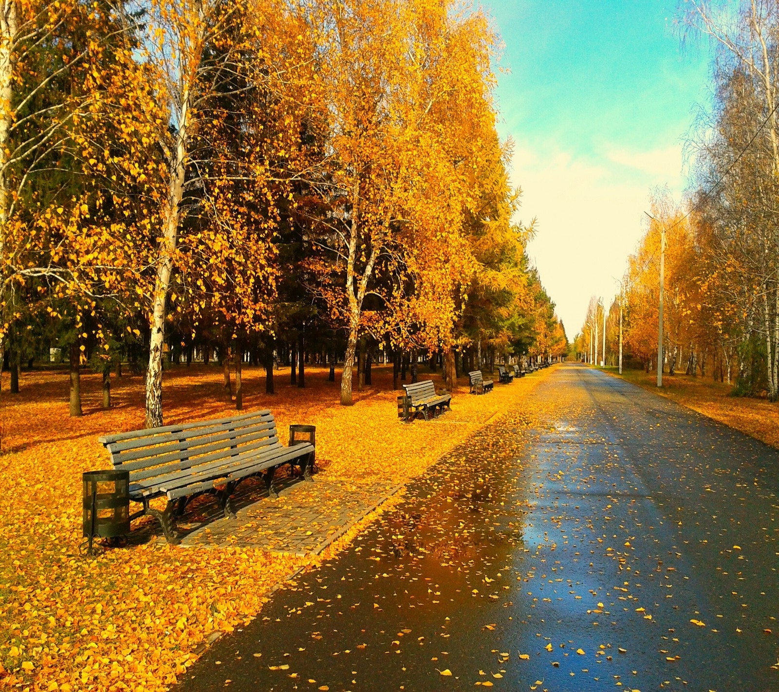 Un banc de parc sur le bord d'une route (2160x1920, papier peint)