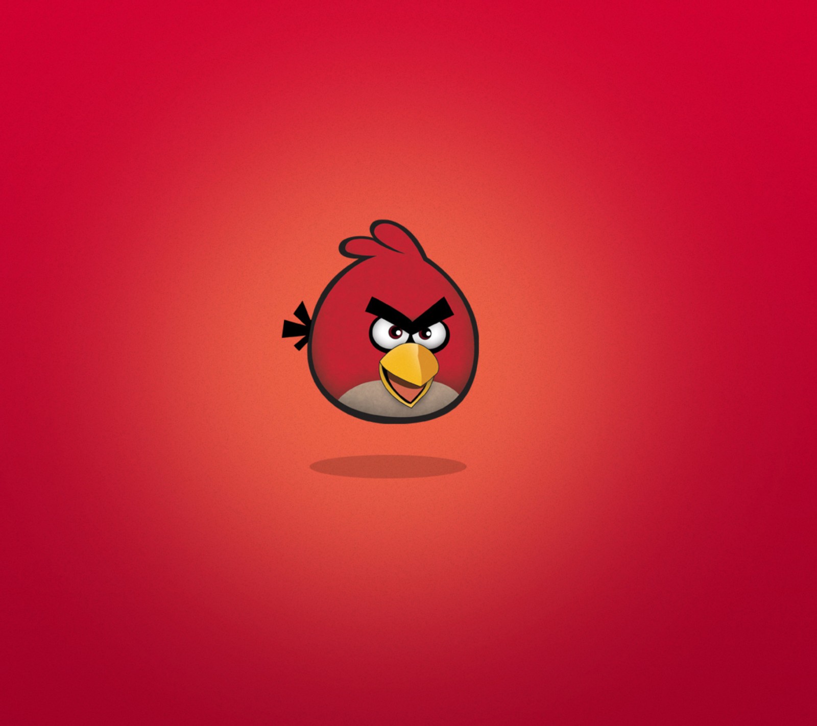 Fondos de pantalla de pájaros enojados (enojado, angry birds, ave, caricatura, juego)