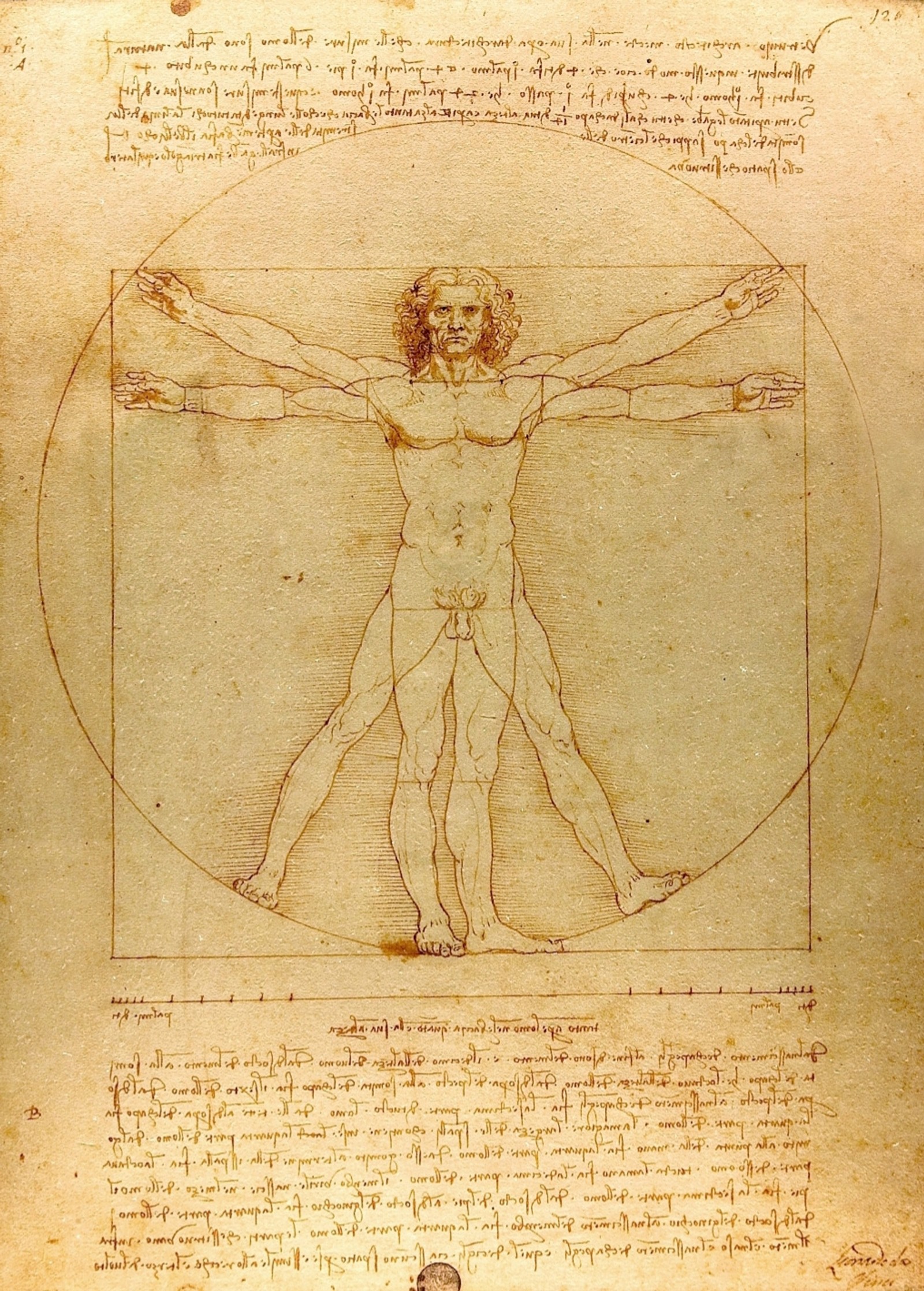 Lade kunst, leonardo da vinci, uomo Hintergrund herunter