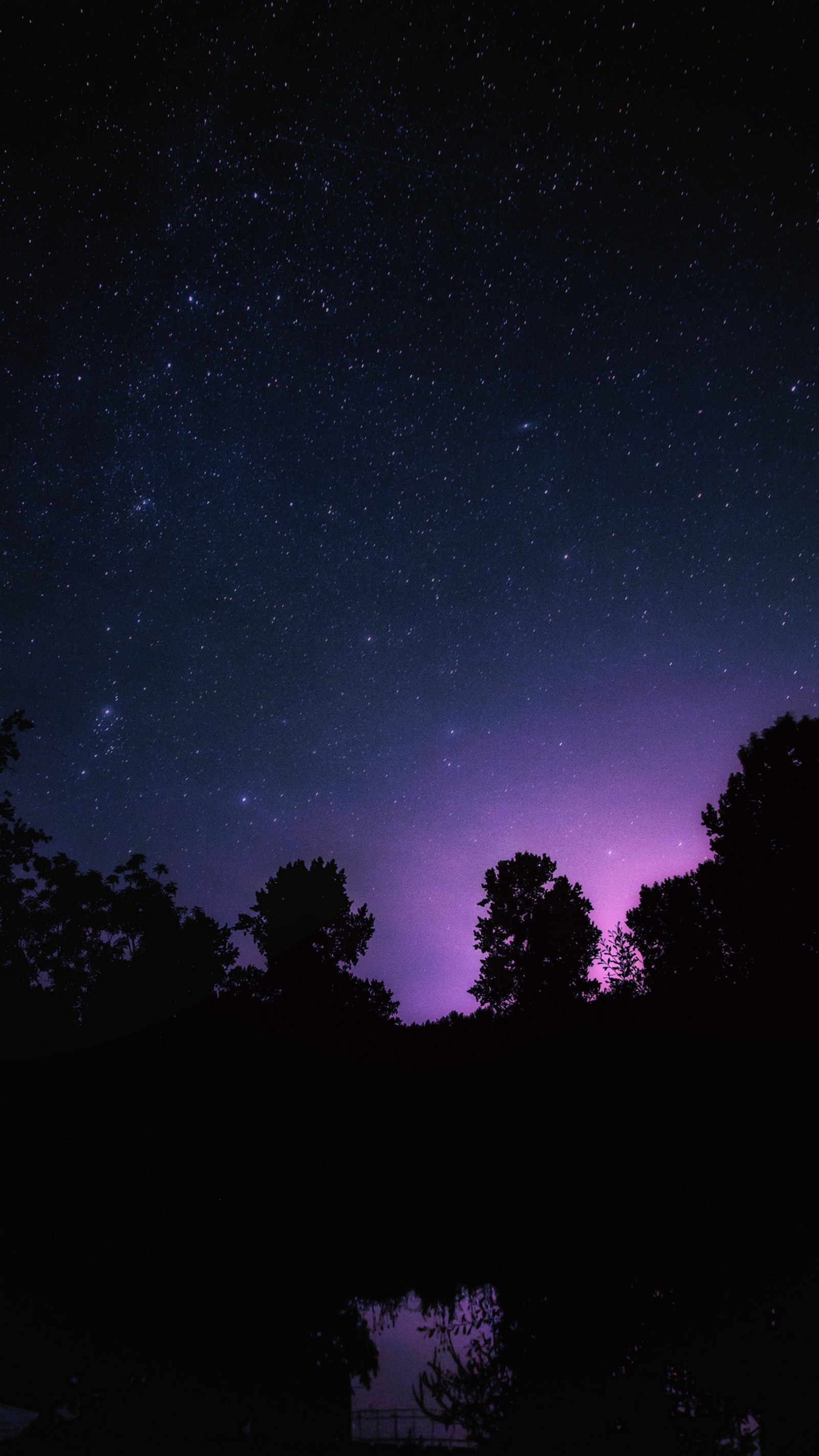 Céu noturno com estrelas e árvores refletidas na água (astronomia, escuro, natureza, noite, céu)