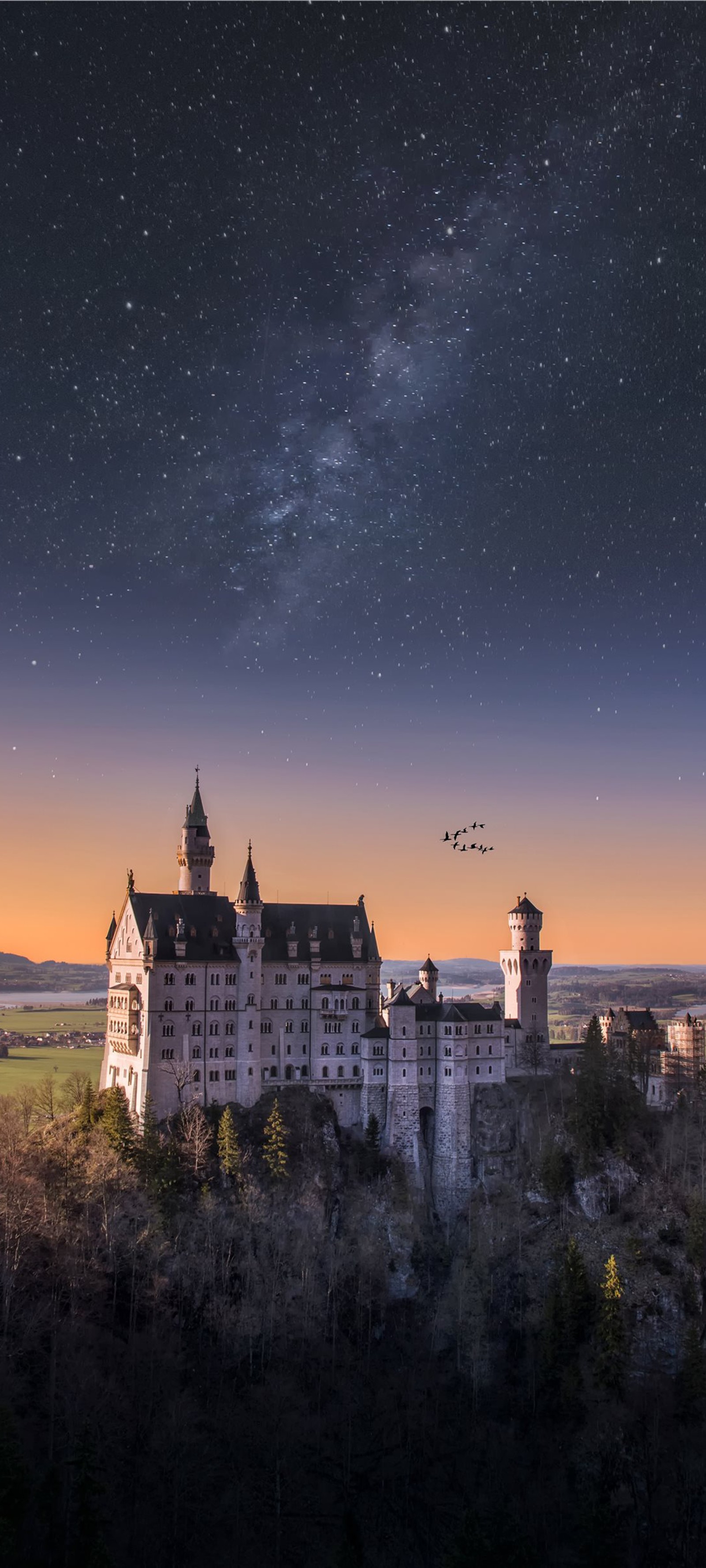 Sternenhimmel über einem schloss mit einem vogel, der darüber fliegt (schloss neuschwanstein, burg, palast, gebäude, atmosphäre)