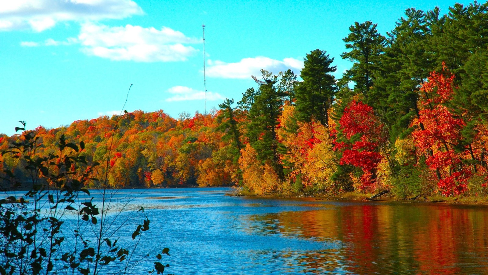 Una vista de un lago con árboles de fondo y un cielo azul (naturaleza, reflexión, hoja, otoño, agua)