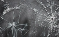 window, glass, texture, black, spider web wallpaper