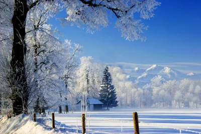 Árvores cobertas de geada e uma paisagem de inverno serena sob um céu azul claro, emoldurada por uma cadeia de montanhas distante.