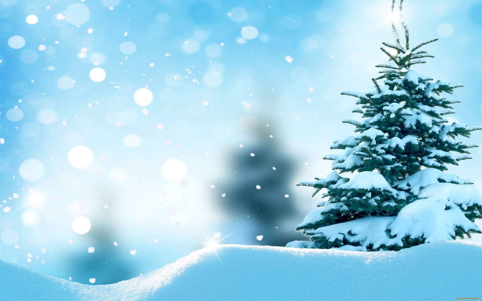 christmas tree, snow, winter, tree, blue Download Wallpaper