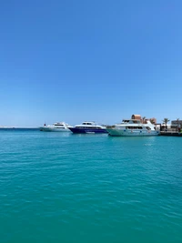 Tranquil Waters: Luxury Boats at Anchor