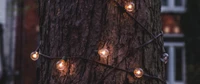 Warm Incandescent Lights Adorning a Tree in Darkness