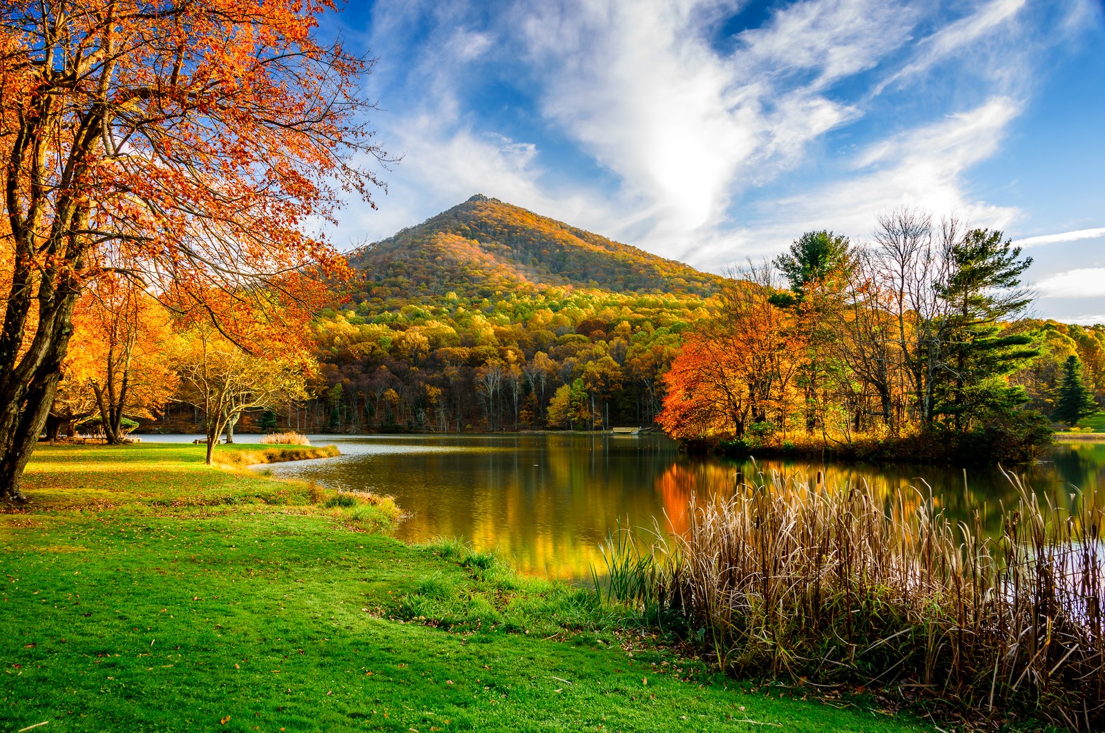 Un lago rodeado de árboles con follaje colorido y montañas al fondo (naturaleza, reflexión, árbol, hoja, lago)