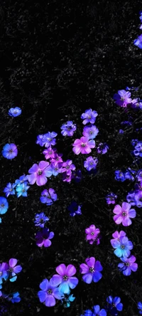 Flores de cobertura do solo em violeta vibrante e azul elétrico