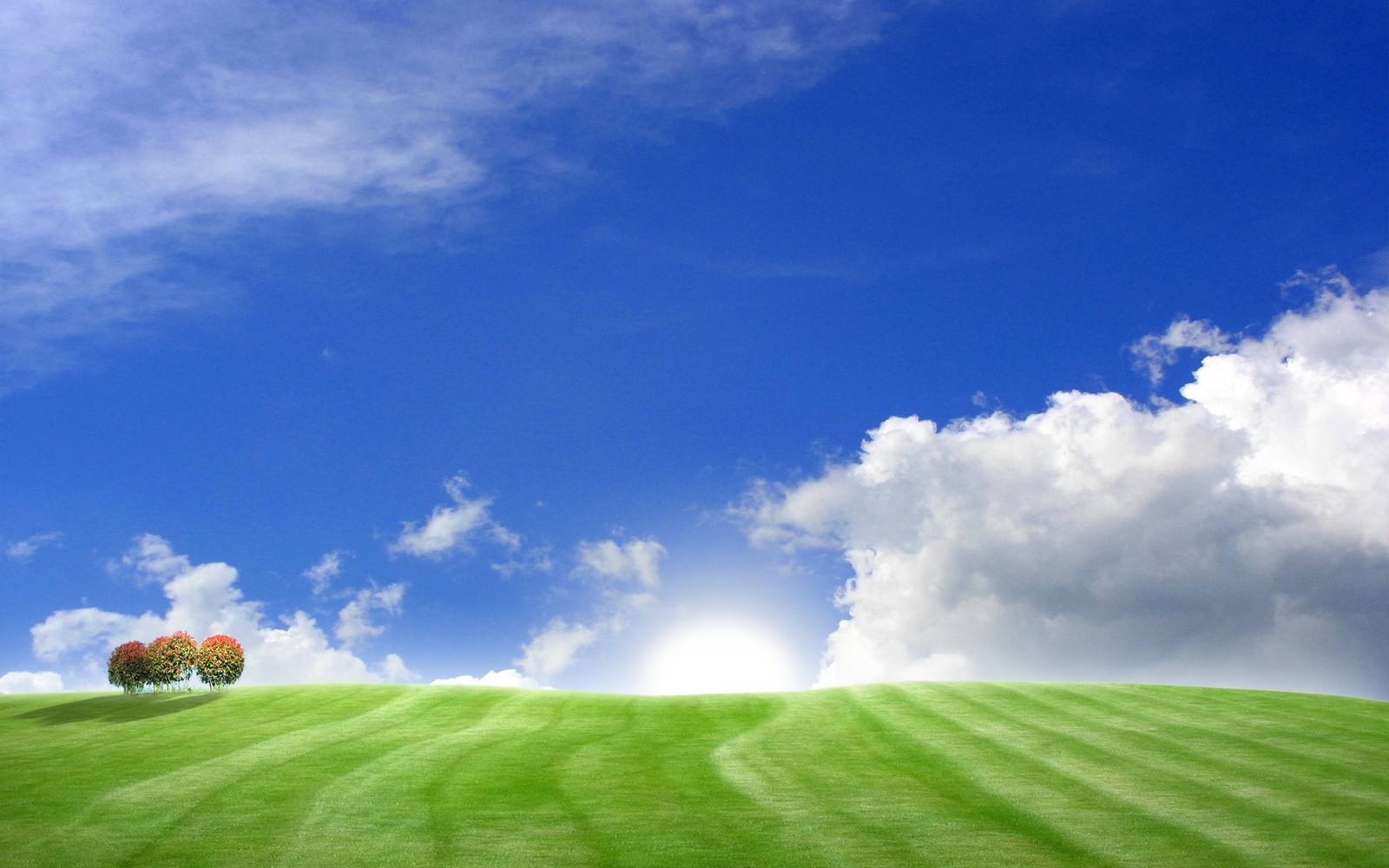 Arafed green field with trees and clouds in the background (nature, green, cloud, blue, ecosystem)