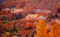 Formations rocheuses majestueuses du canyon de Bryce, présentant des teintes vibrantes et des structures géologiques uniques dans un paysage désertique époustouflant.