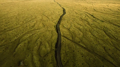 Eine kurvenreiche Straße schneidet durch eine weite, strukturierte Fläche aus goldenen Gräsern und geologischen Mustern und zeigt die Schönheit der natürlichen Landschaft.