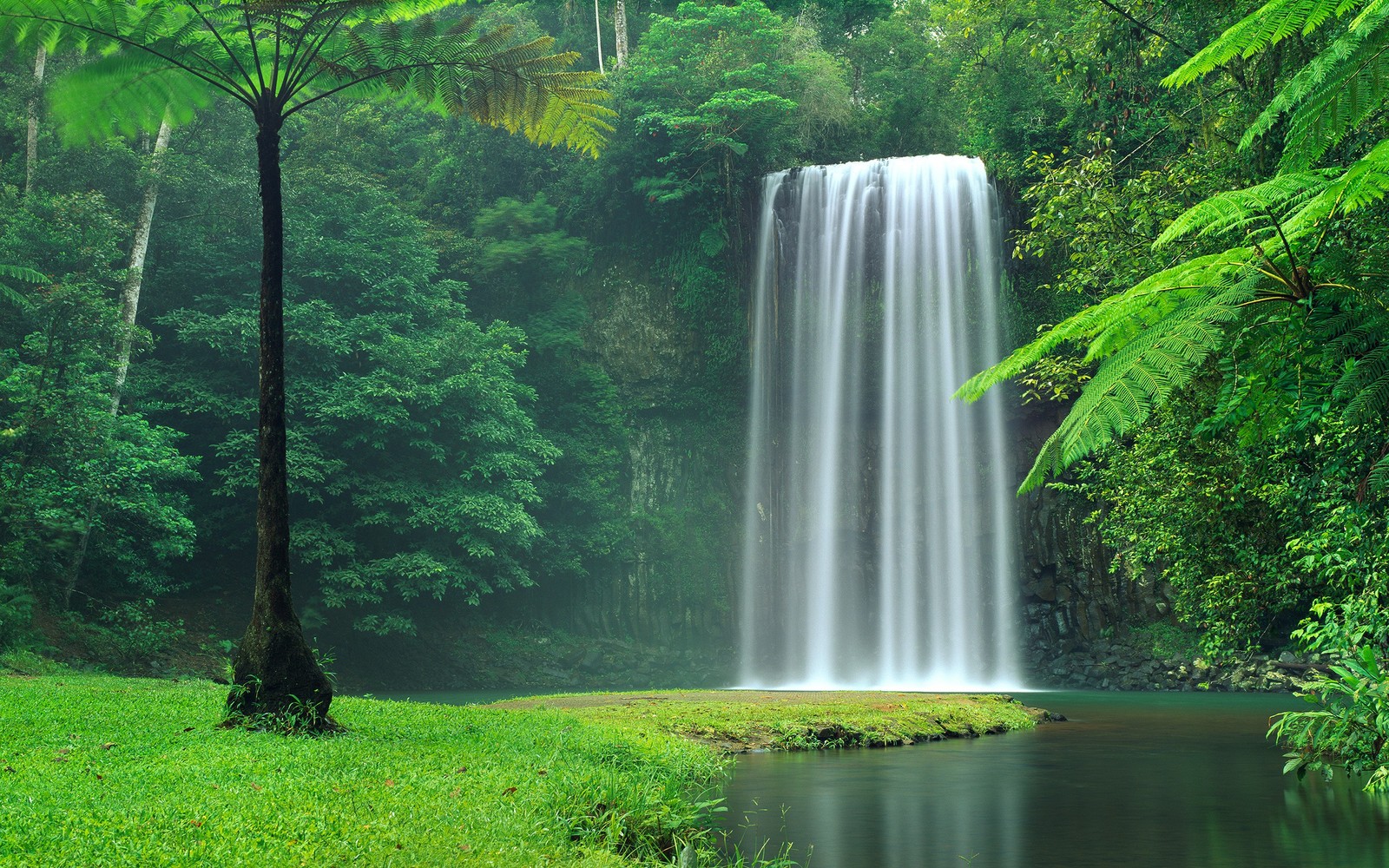 Ein großer wasserfall inmitten eines üppigen grünen waldes (wasserfall, wasserressourcen, natur, gewässer, naturschutzgebiet)