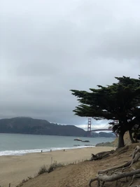 Vista de playa tranquila con el Puente Golden Gate al fondo