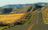 Camino rural pintoresco a través de campos de alta montaña