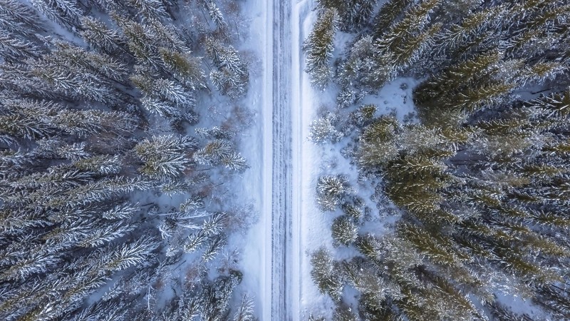 Аэросъемка дороги в снежном лесу с деревьями (зима, лес, природа, пейзаж, вид с воздуха)