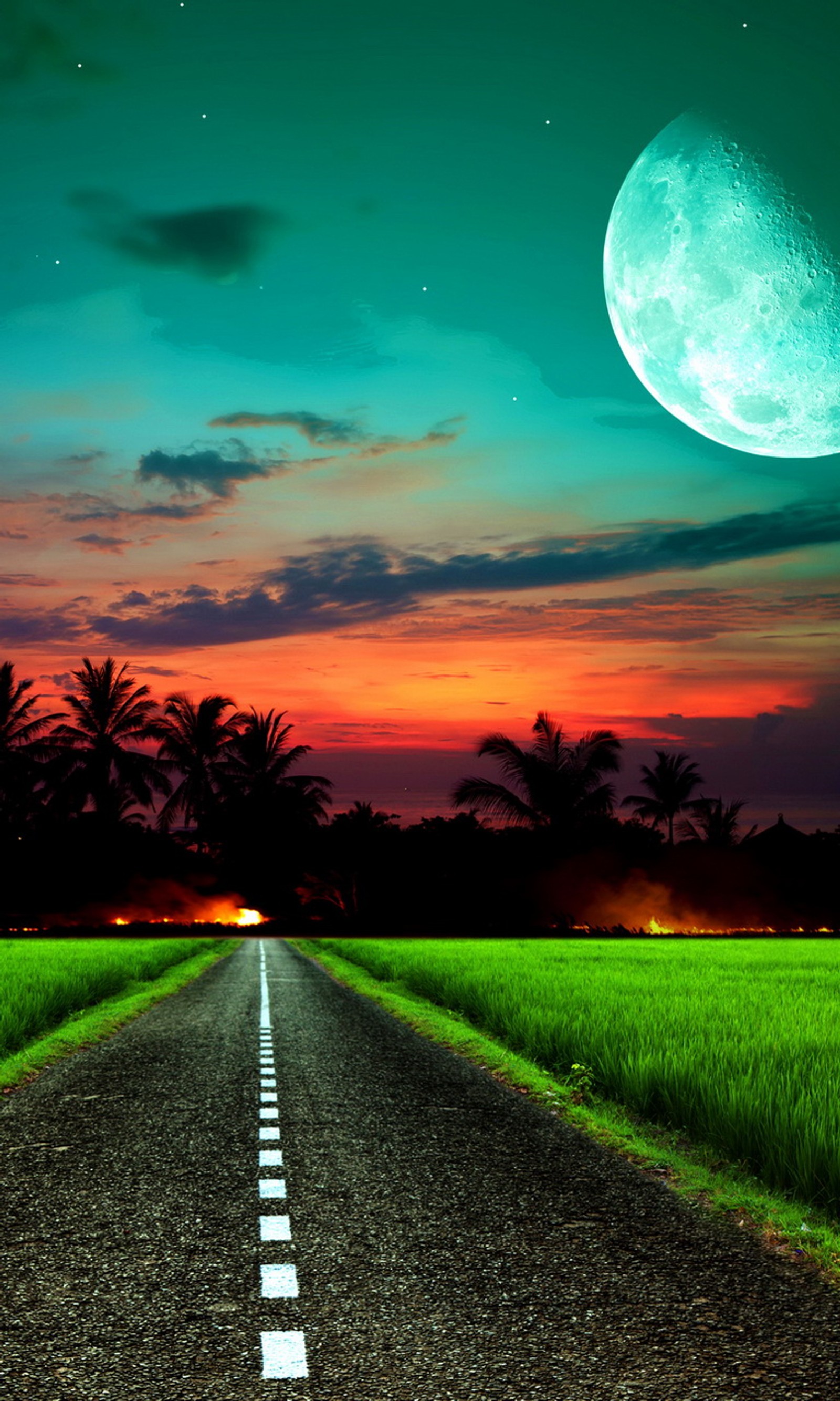 Imagem desfocada de uma estrada com uma lua cheia e palmeiras ao fundo (moonlite field evening, estrada da noite, por do sol)