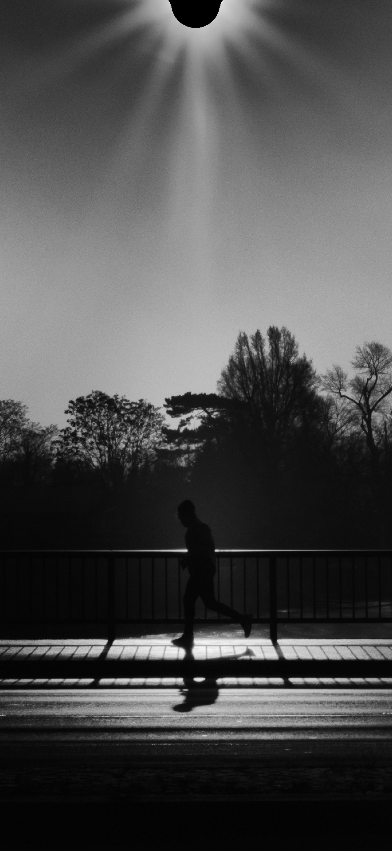 Arafed image of a person riding a skateboard on a sidewalk (notch, waterdropnotch)