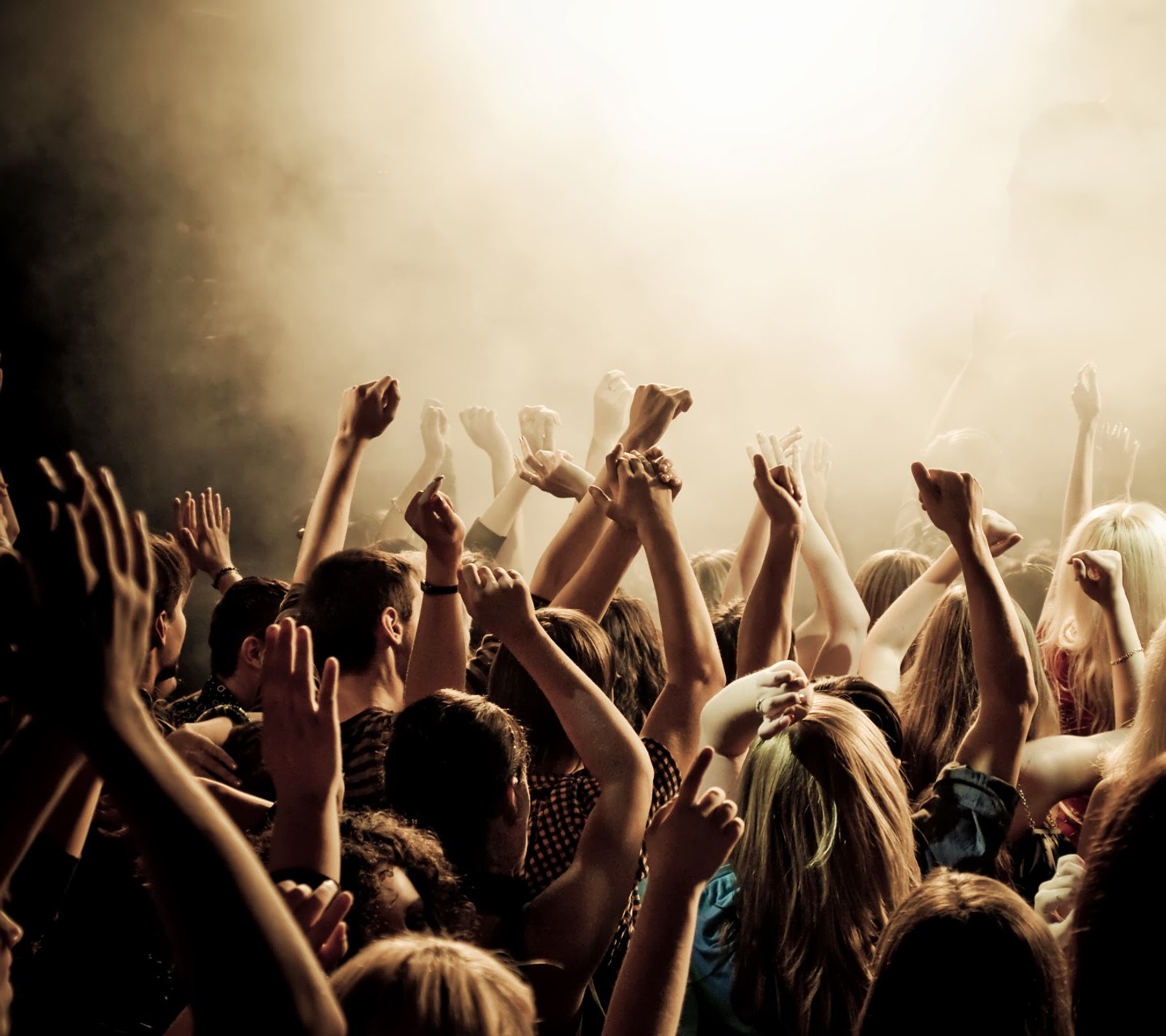 Crowd of people in a concert with their hands up (concert, hard, music, party, rock)