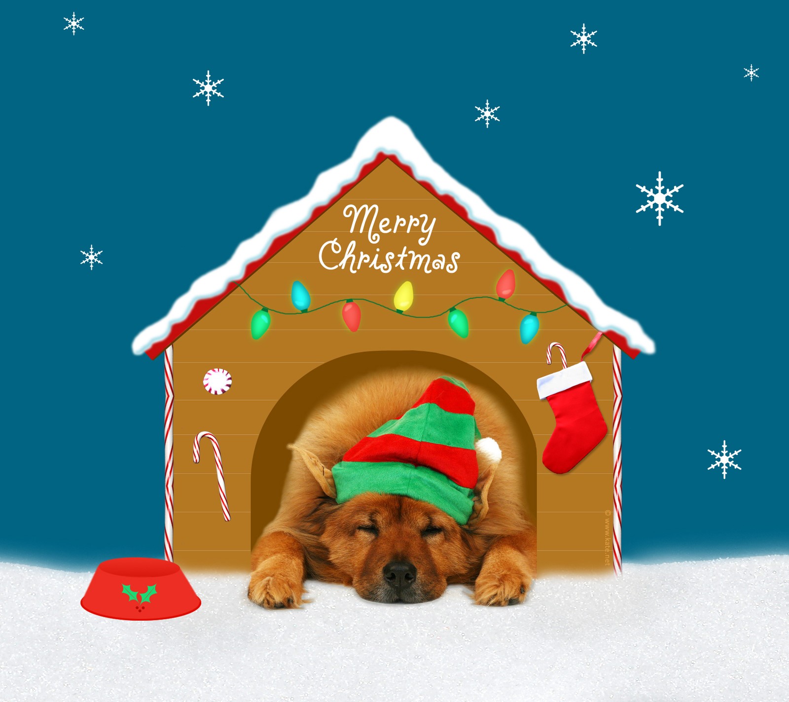 Hund in einer hundehütte mit einem weihnachtsmann-hut und einem zuckerstangen (tier, design, hund, lustig, glücklich)