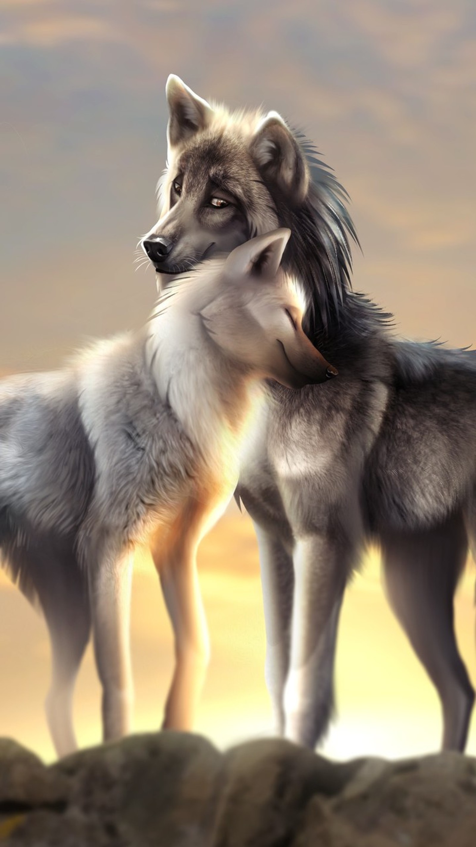 Dos grandes perros grises y blancos de pie en la cima de una colina rocosa (amanecer, lobos, amor)