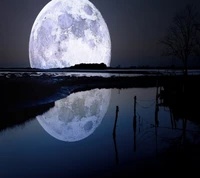 moon, night wallpaper