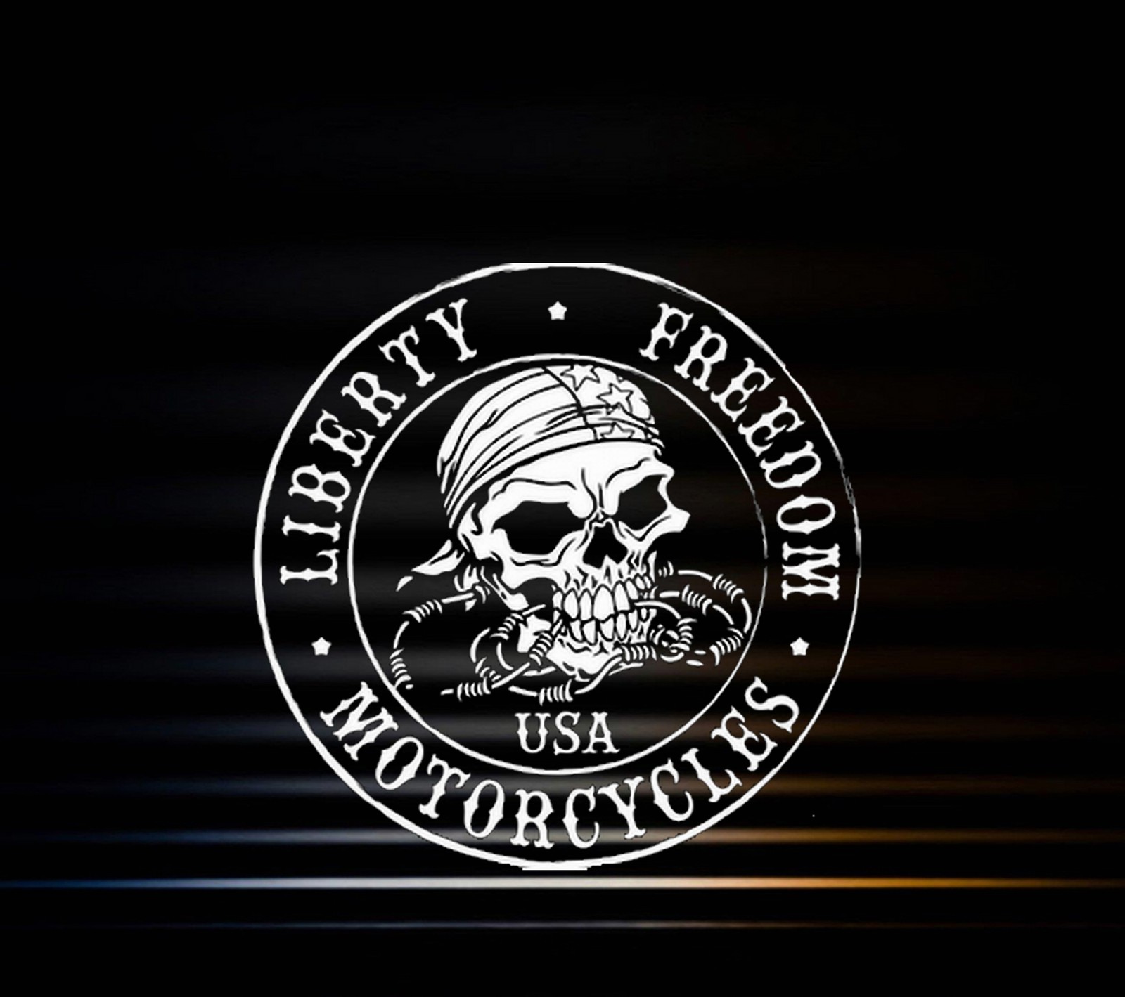 A close up of a motorcycle with a skull on it (logos, motorcycles, skull)