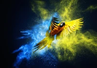 Vibrant Blue and Yellow Macaw in a Color Burst Background