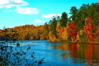 natur, natürliche landschaft, reflexion, blatt, wasser