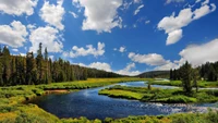 Serene Landschaft des Snake River inmitten üppiger Wildnis und dramatischem Himmel