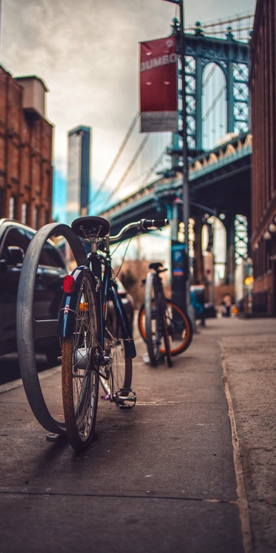 bicicleta de estrada, bicicleta de montanha, estrada, carros, ciclismo