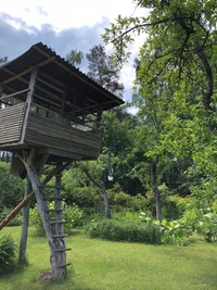 tree, tree house, garden, rural area, shrub