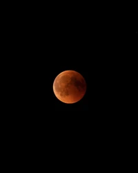 Supermoon Illuminated by a Lunar Eclipse in the Midnight Sky