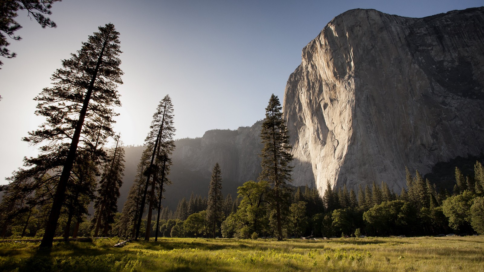 Girafas no vale do parque nacional de yosemite, califórnia (el capitan, os x el capitan, natureza, formas montanhosas, árvore)