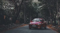 Hyundai Compact Car on a Serene Forest Road