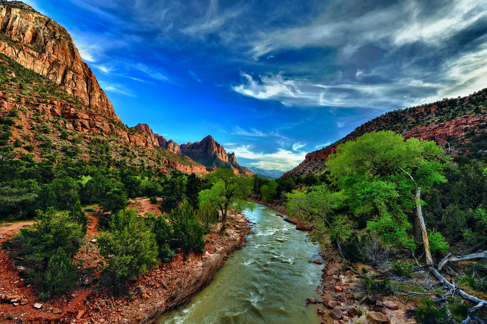 Um rio correndo através de um cânion cercado por árvores e pedras (cânion, parque nacional, natureza, formas montanhosas, wild)