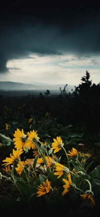 Wildflowers Under Darkening Skies