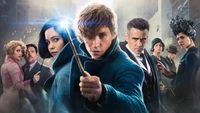 j k rowling, newt scamander, film, fictional universe of harry potter