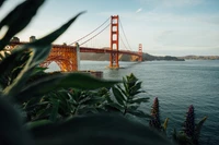 Puente Golden Gate al anochecer rodeado de verdes exuberantes y aguas tranquilas