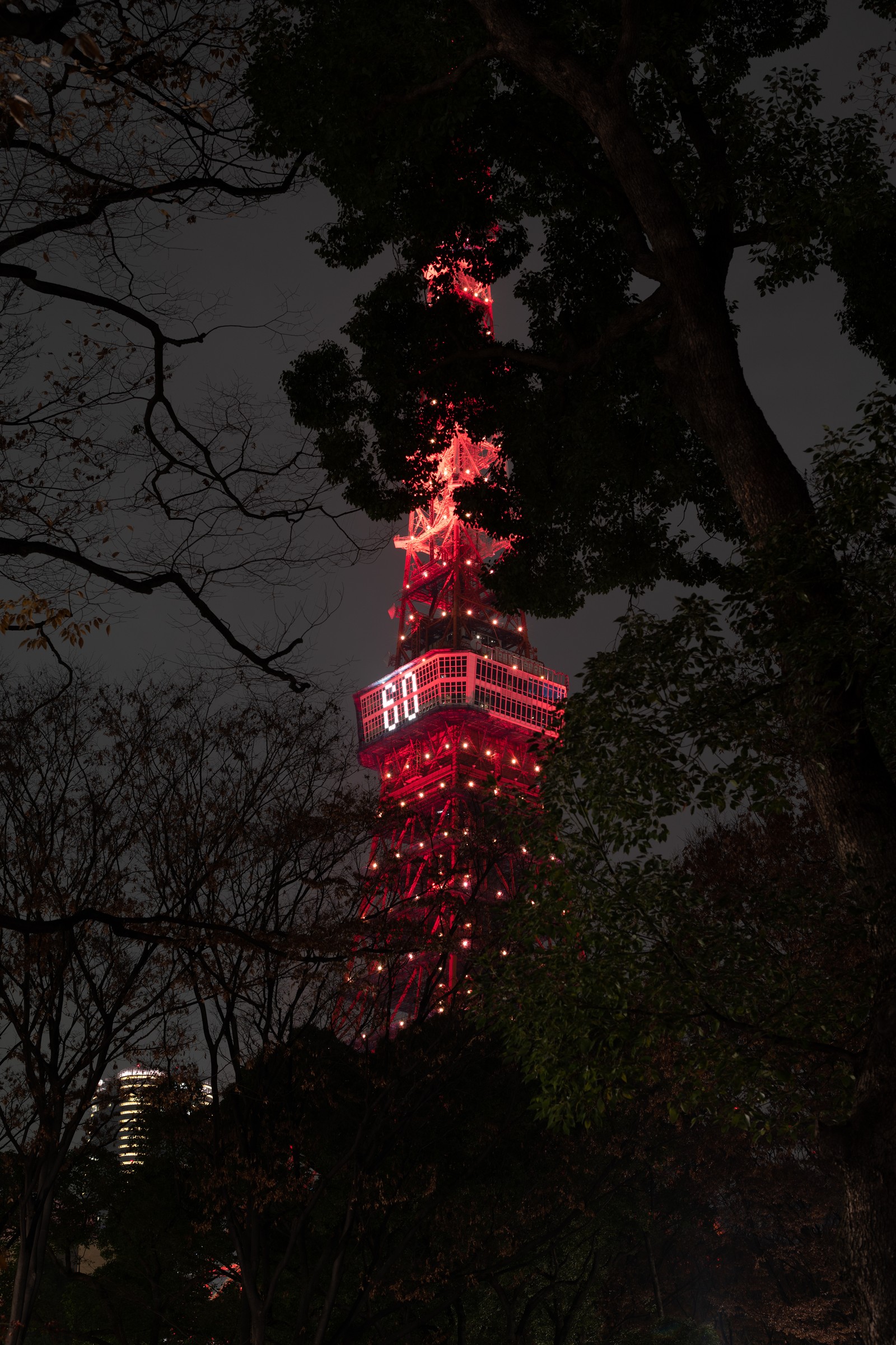 Скачать обои токийская башня, tokyo tower, башня, красный, дерево