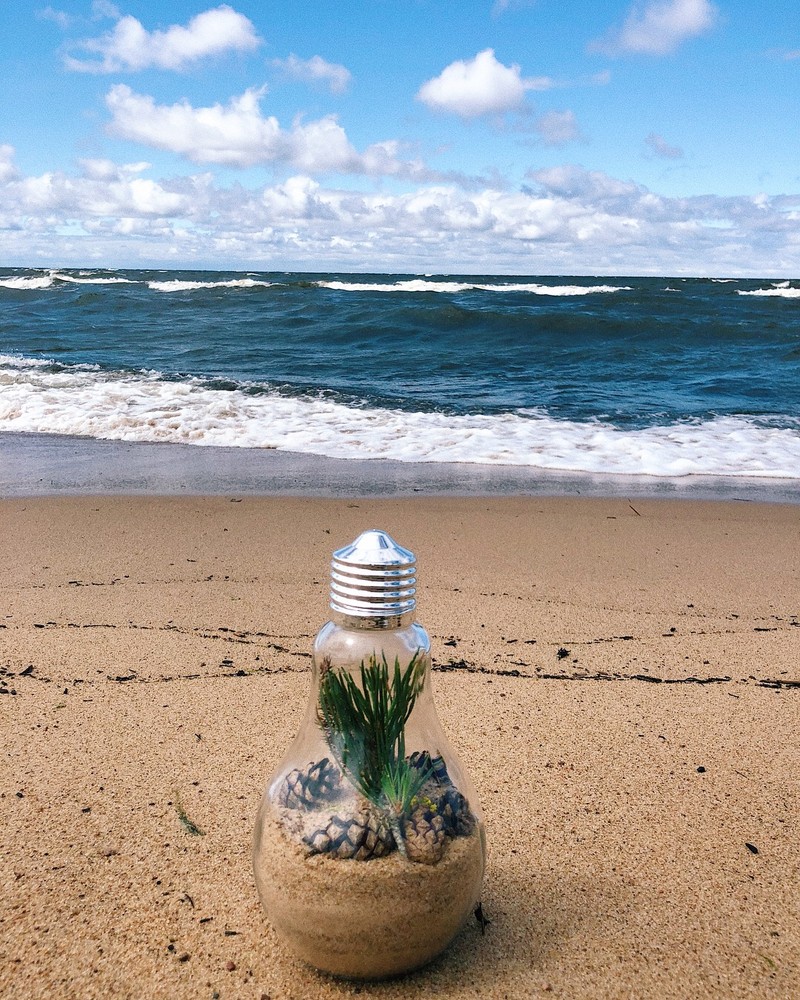 Маленькое растение в стеклянной банке на пляже (море, пляж, вода, физика, наука)