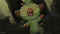 Grookey celebrando alegremente na floresta