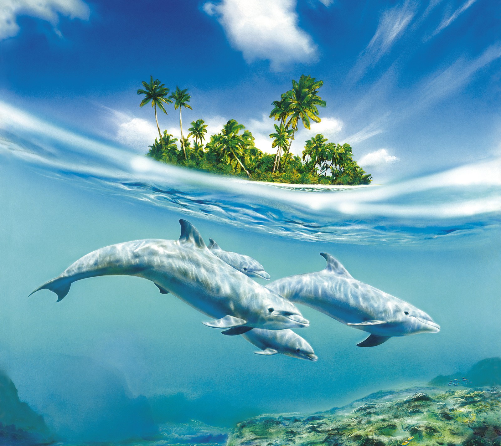 Dolphins swimming in the ocean with a small island in the background (dolphin, ocean)